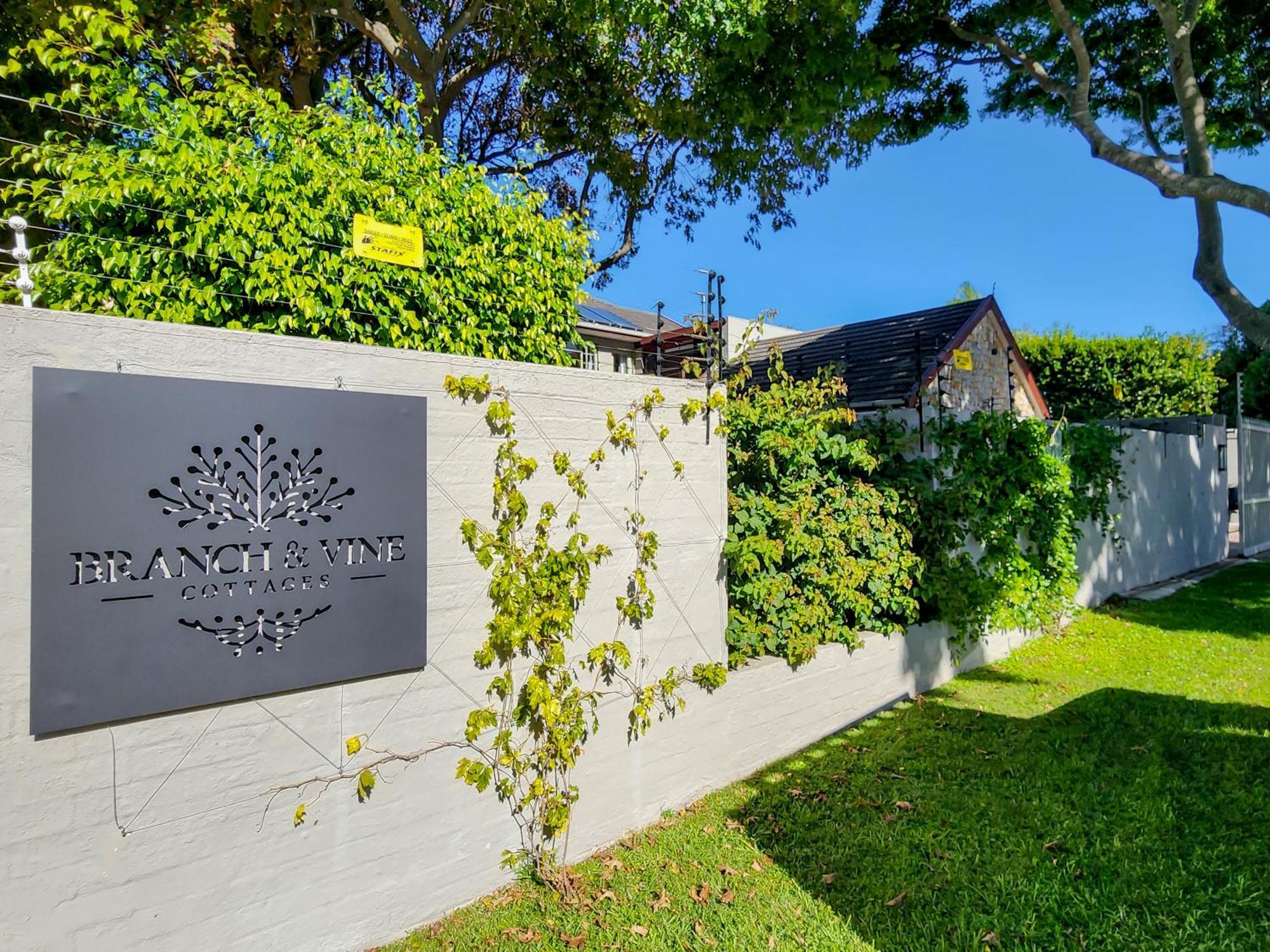 Branch & Vine Cottages - Constantia - Formerly Pinoak Cottages Cape Town Exterior photo
